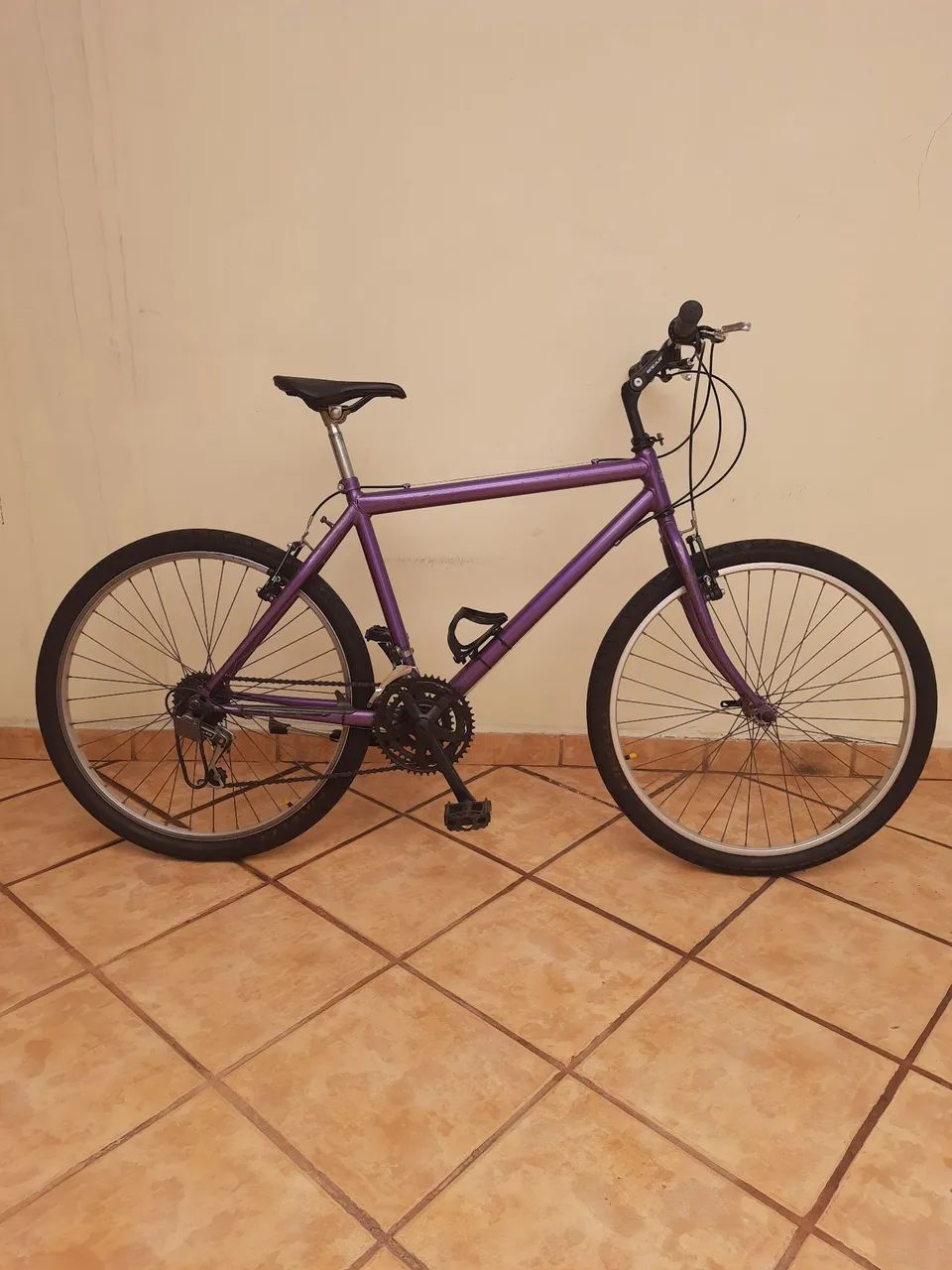 Bicicleta Caloi Aspen Pro GS (década 90)