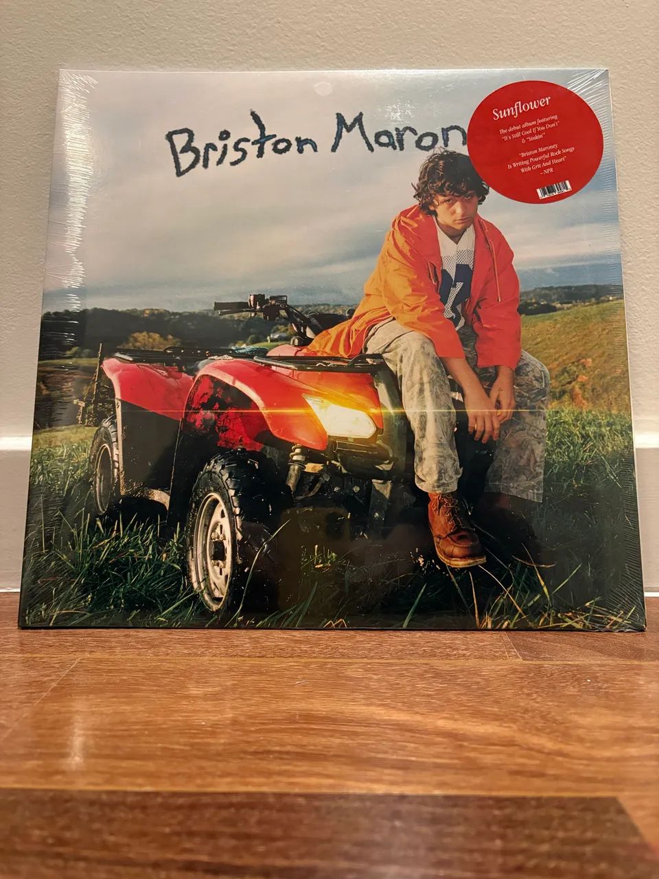 Vinil Bristol Maron - Sunflower