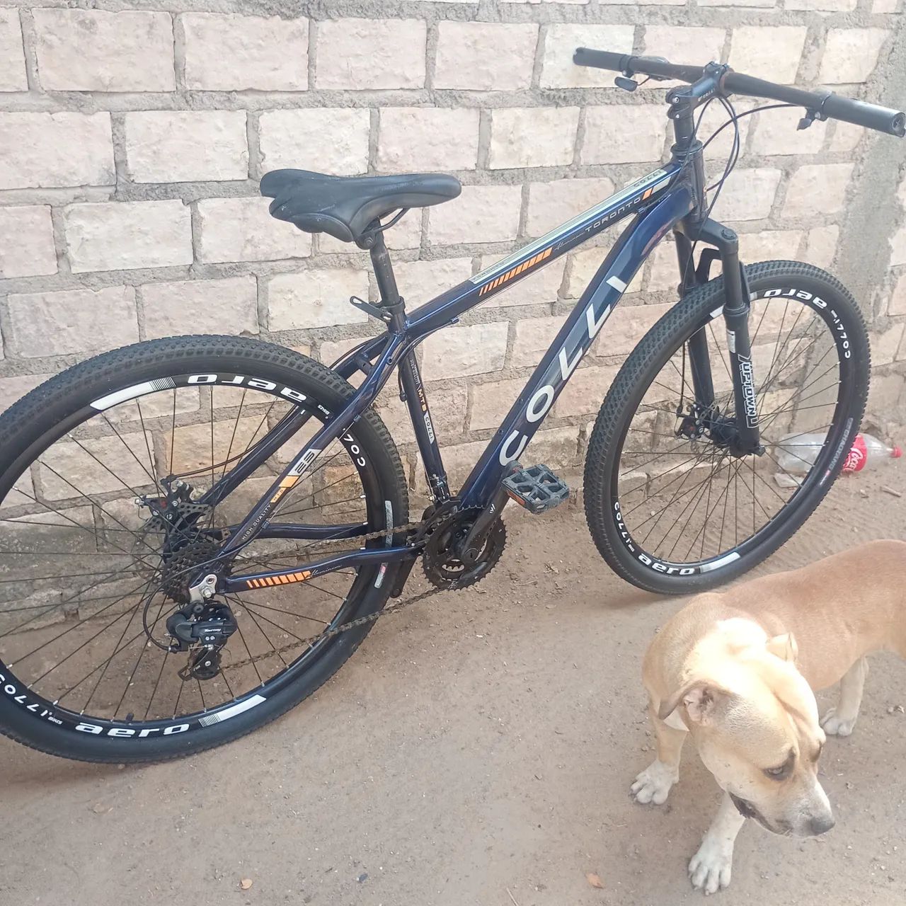 BICICLETA 29 REVISADA E LUBRIFICADA  - Foto 4