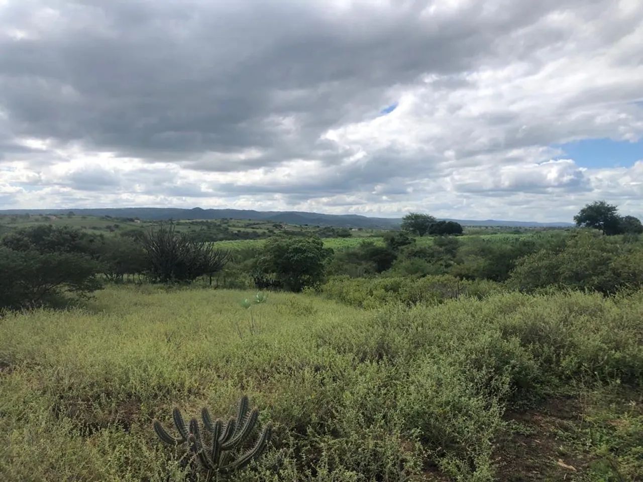 Sítio 19 hectares em Solânea  - Foto 3