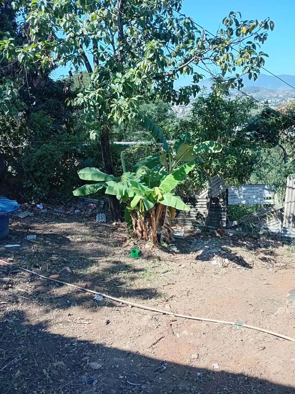 Venda