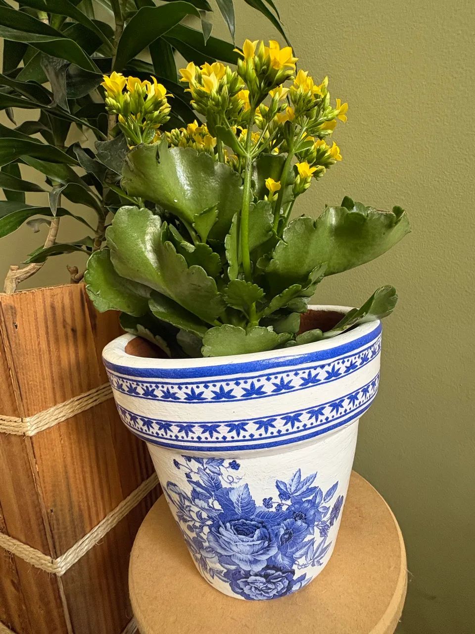 Vaso de planta  - Foto 2