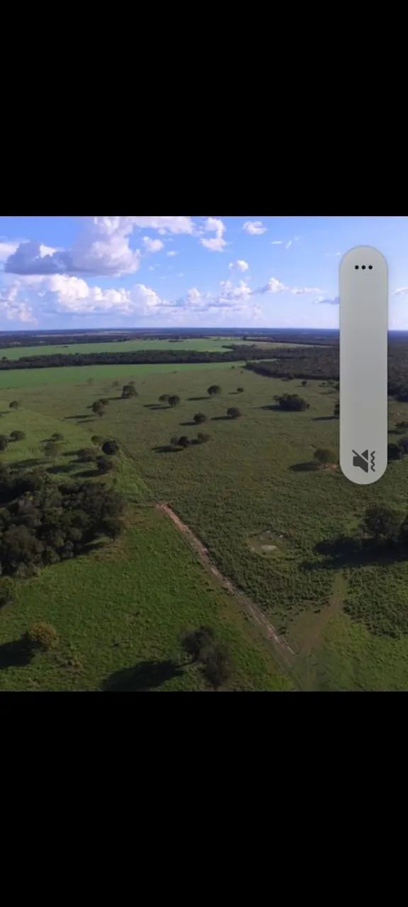 Fazenda em Alvorada To