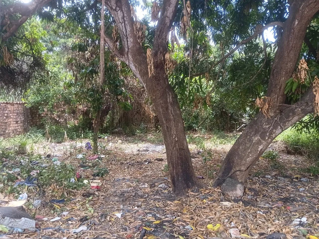 Casa com terreno - Foto 4
