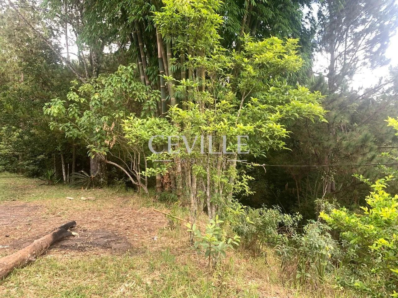 oportunidade de sitio a venda - Foto 9