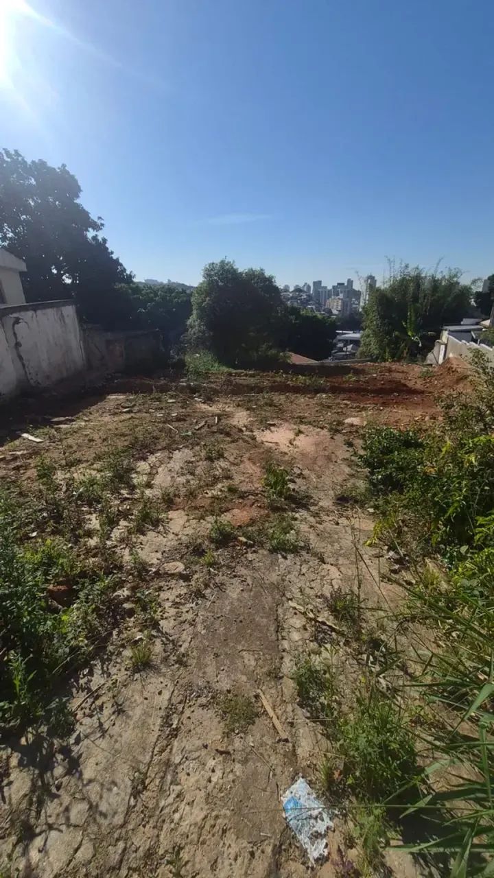 TERRENO 600M, VILA  PALMEIRAS - 6508 - Foto 3