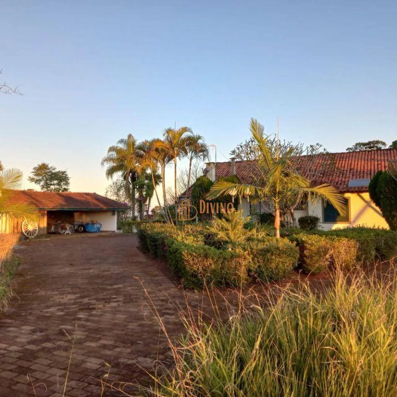 Sítio à Venda - Zona Rural - Foto 2