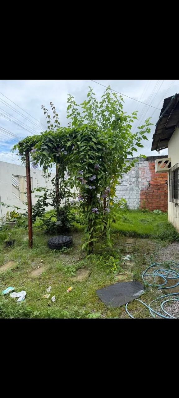 Jardineiro e paisagista  - Foto 2