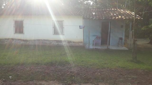 Área com 14 Hectares - Foto 6