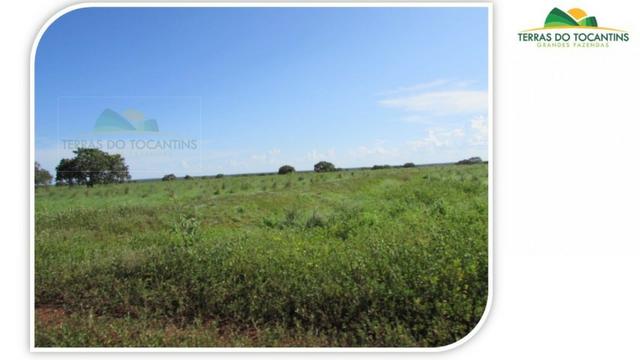 1.350 há (278 Alq) 1.000 há (206 alq) formados em pastagens. Planta-se Soja em toda área
