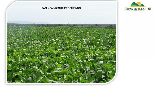 1.350 há (278 Alq) 1.000 há (206 alq) formados em pastagens. Planta-se Soja em toda área - Foto 7