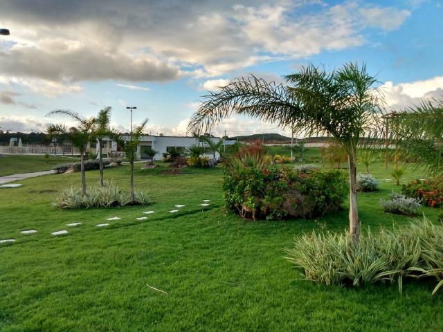 Oportunidade Passo Lote nascente R$65.000,00 Facilito entrada Jardimdas Tulipas - Foto 12