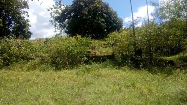 Fazenda - Foto 4