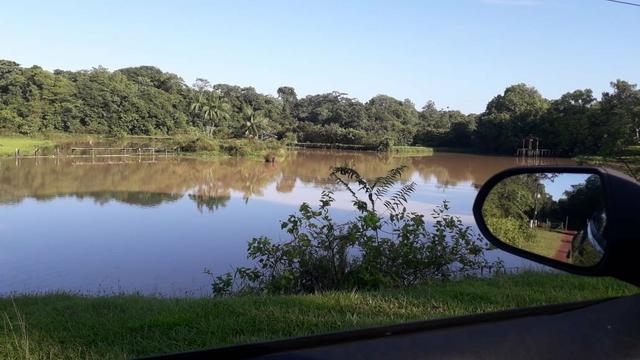 Área com 14 Hectares - Foto 5