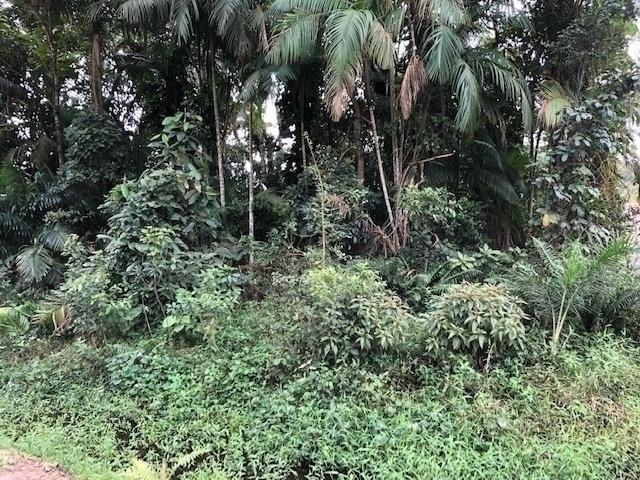 1368 Terreno no Bairro Costeira, ótima oportunidade - Foto 2