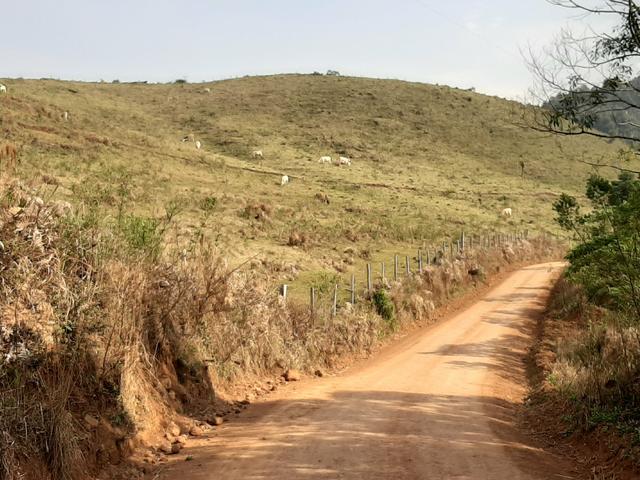 Chácara de 23.5 Alqueires com 22.5 alqueires de pasto - Faxinal do Céu. Pinhão- PR