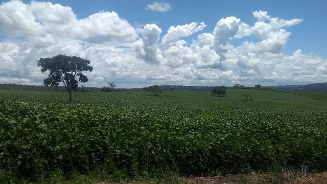 Fazenda Cristianópolis - Foto 11
