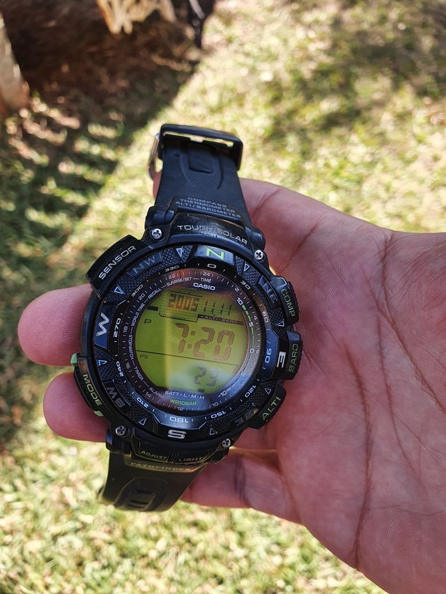 売買 カシオ プロトレック PAG-240 drenriquejmariani.com