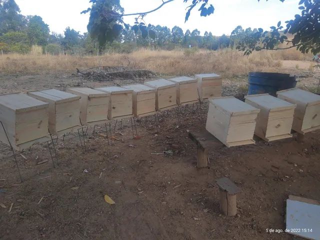 Caixa padrao longstroth feitas de pinus,sob demanda 