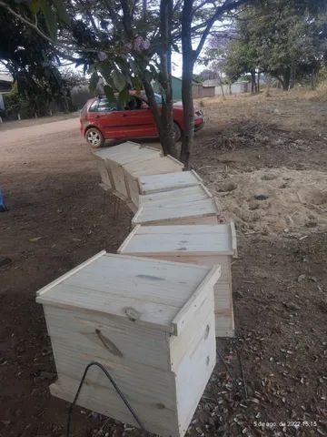 Caixa padrao longstroth feitas de pinus,sob demanda  - Foto 5