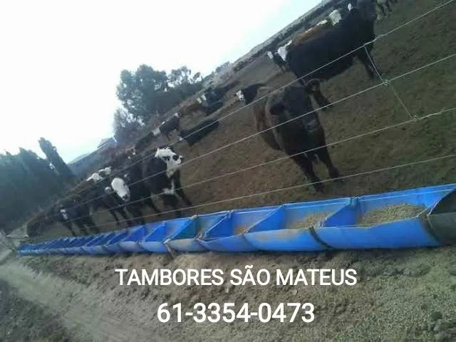 Setor h norte taguatinga  +14 anúncios na OLX Brasil