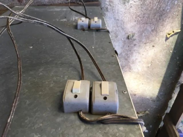 Criadeira Premium - Foto 3