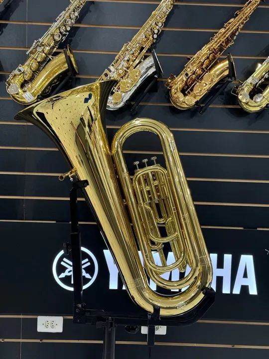 Tuba Michael - Foto 5