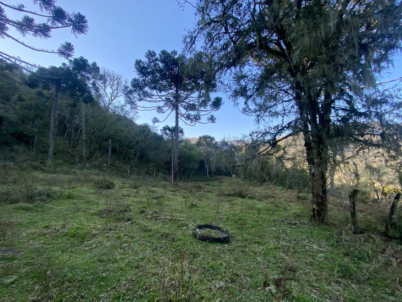 Sítio com muita vista em Urubici - 12 km centro