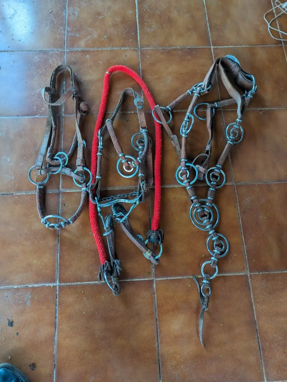 Rede de rédea e freios para cavalo