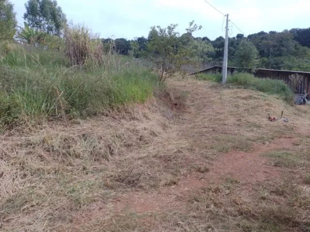 Sitio 6,4 Ha Palmitos - SC - Ao lado ponte rio Uruguay - Foto 11