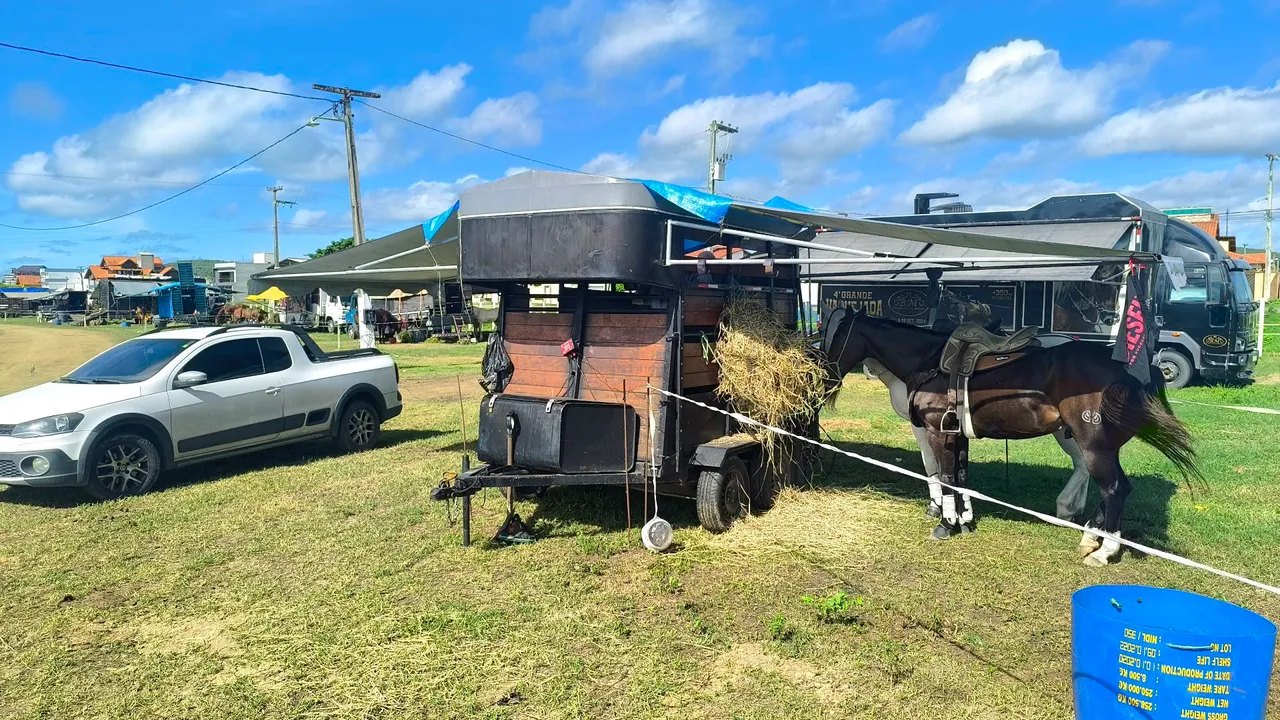 Trailer reboque para 2 cavalo 25.000,00
