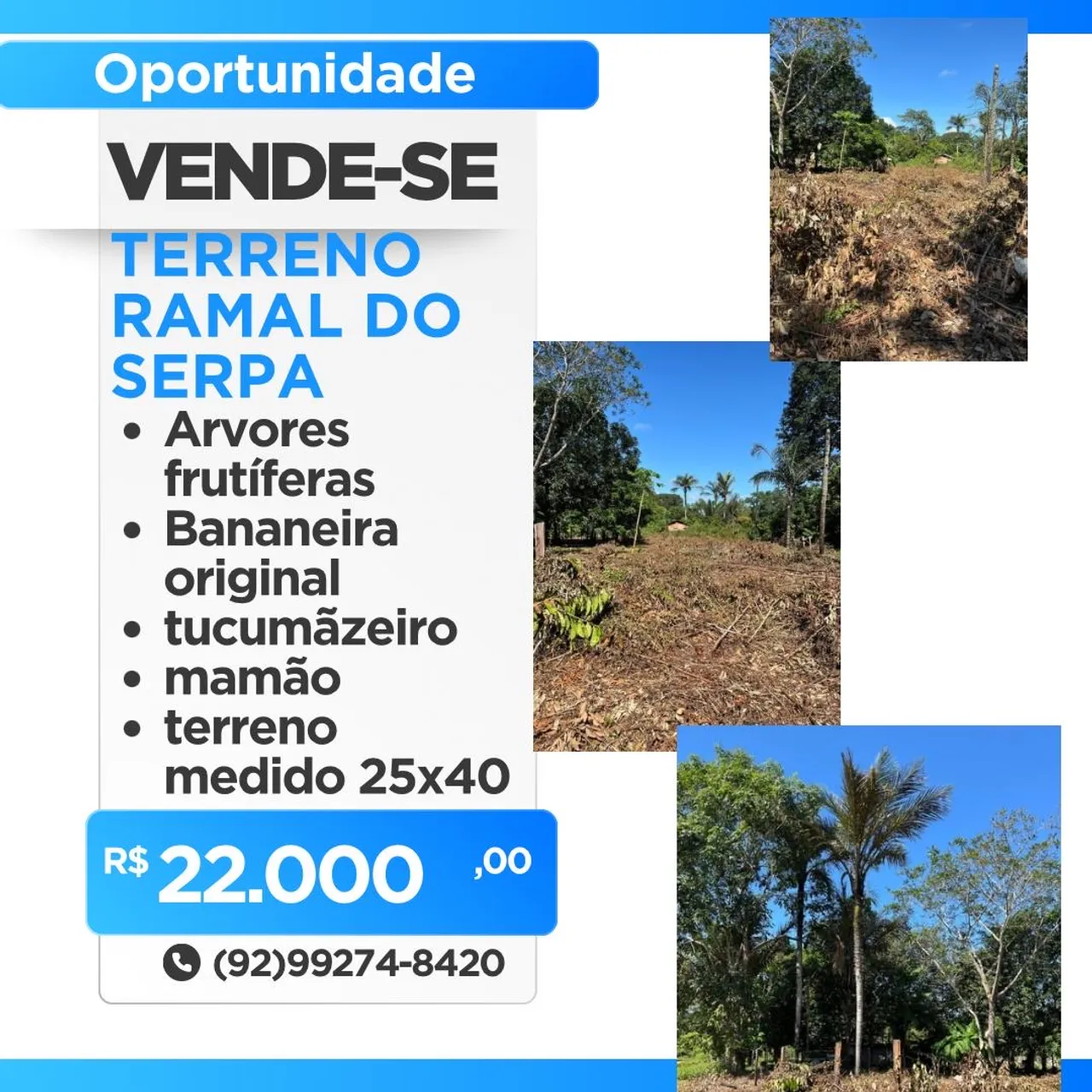 Terreno Ramal do Serpa com árvores frutíferas!