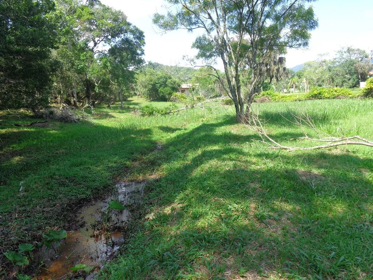 Imóvel para venda com 109000 metros quadrados em Ratones - Florianópolis - SC - Foto 5