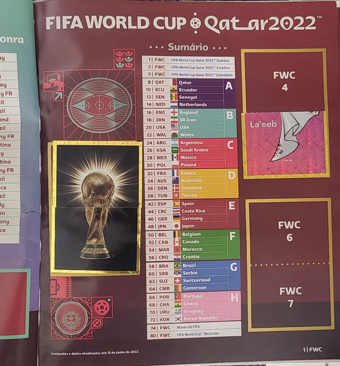Livro Ilustrado Oficial FIFA World Cup Qatar 2022 - Panini - Foto 4