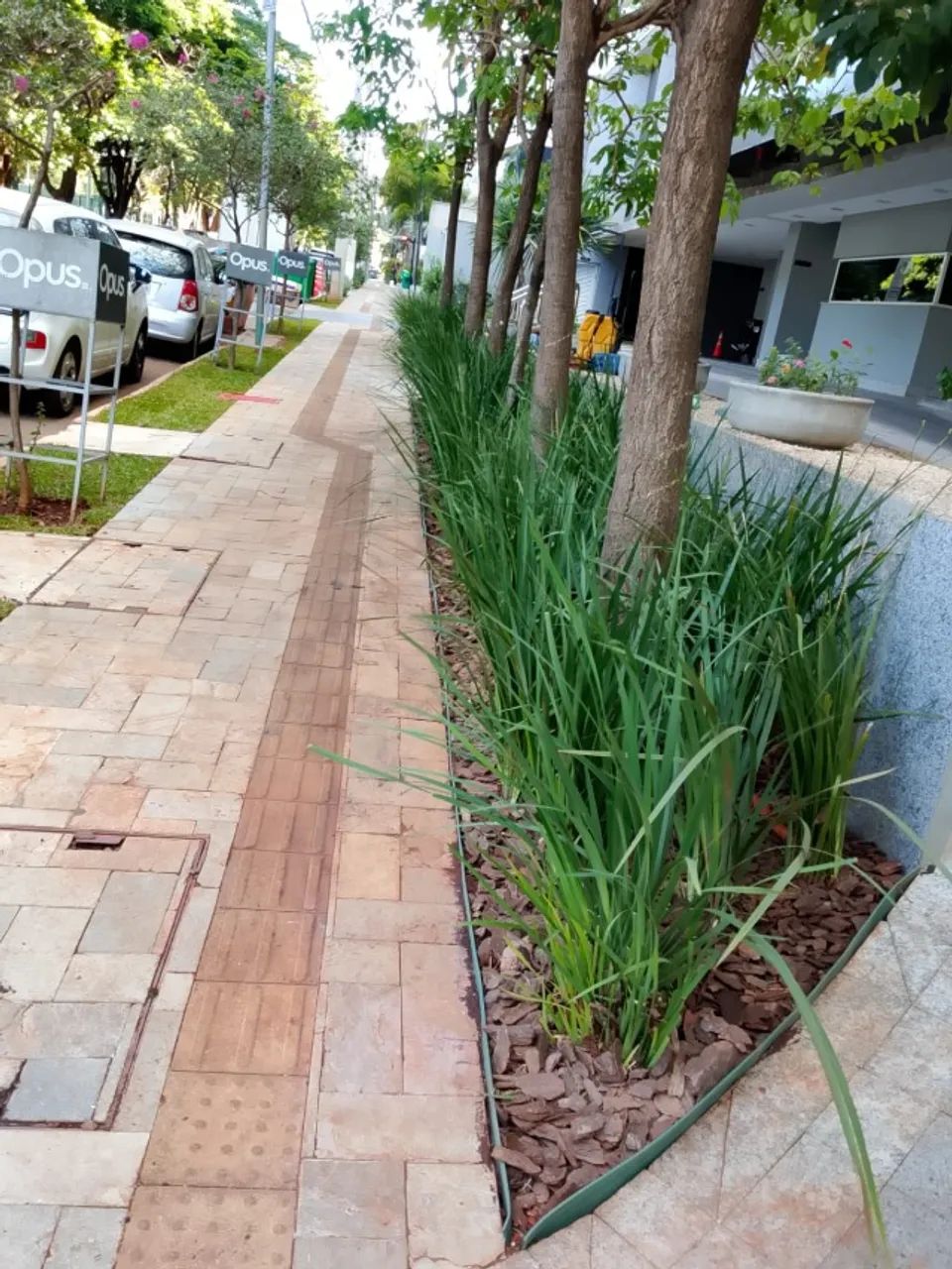 ESTAMOS CONTRATANDO JARDINEIRO / AUXILIAR DE JARDINAGEM