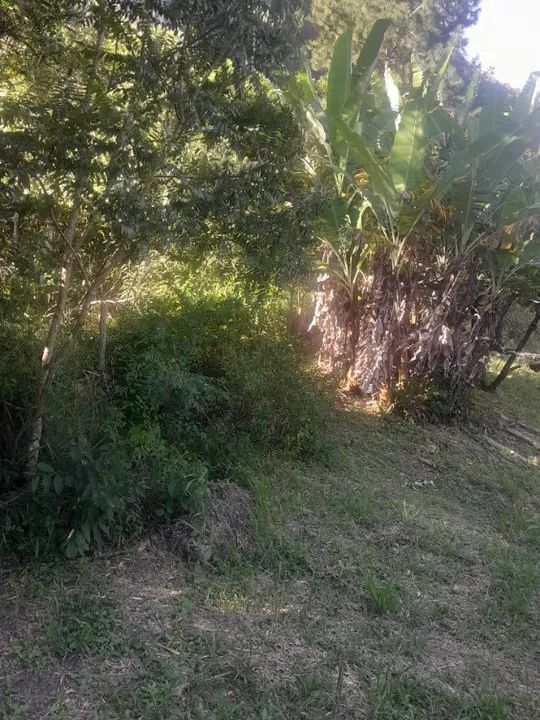 Otimo terreno em nova friburgo 1500 metros - Foto 5