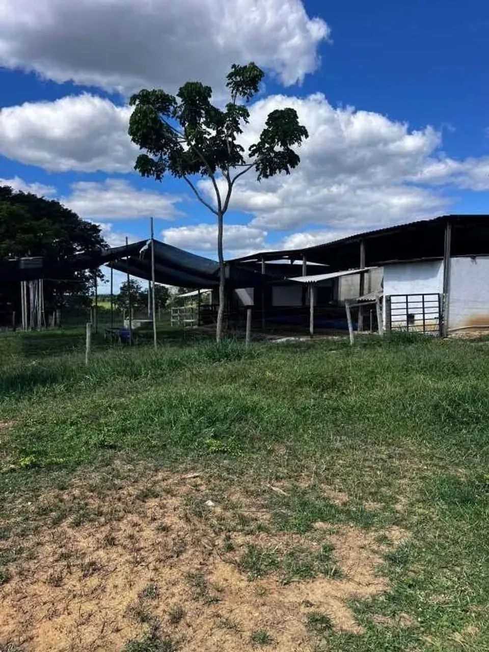 Fazenda com 4 quartos à venda, 0m² - Centro - Foto 3