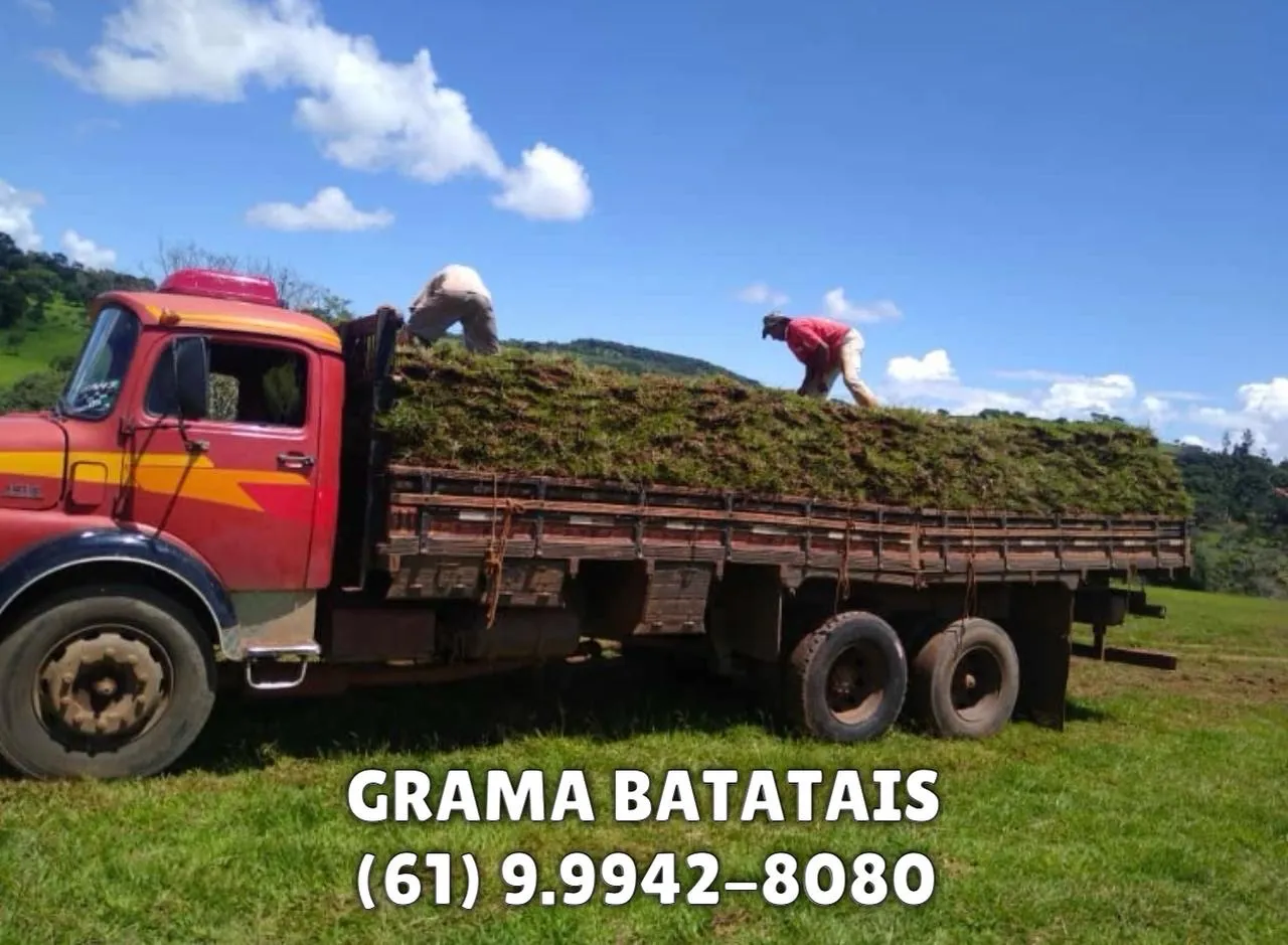 GRAMA BATATAIS 