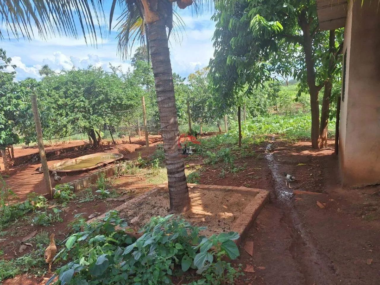 CHÁCARA A VENDA NO DISTRITO 3 - Foto 2