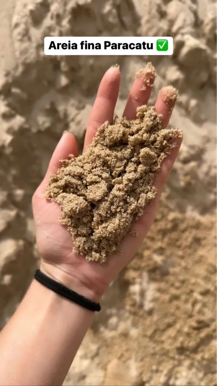 Caminhão Truck para Areia e Pedras - Foto 2