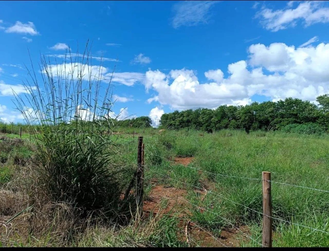 Lote 1.500m2  - Foto 3