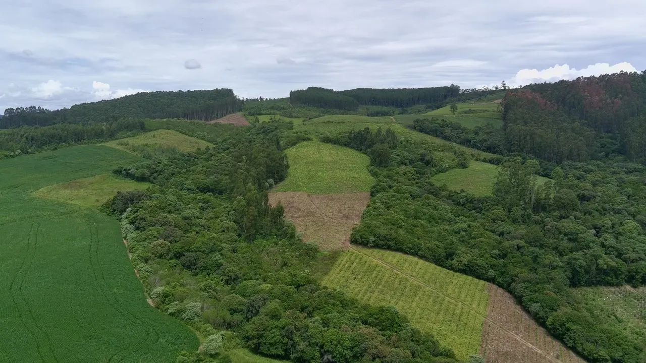 Vendo Terreno no Bracatinga  - Foto 3