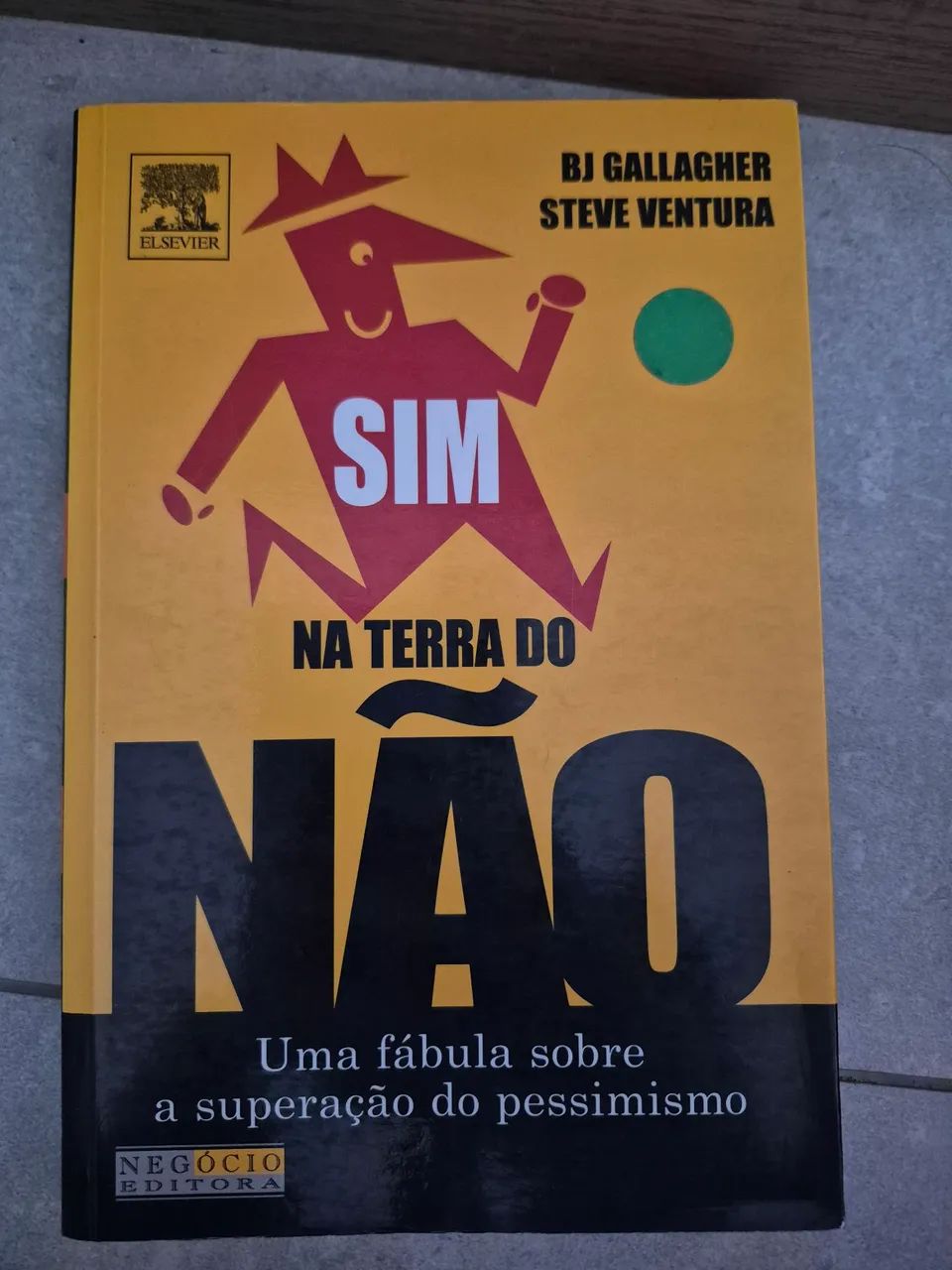 Livro Sim na Terra do Não 