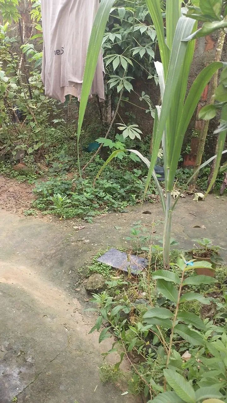 VENDE-SE ESTÁ CASA EM ESCADA PERNAMBUCO  - Foto 3