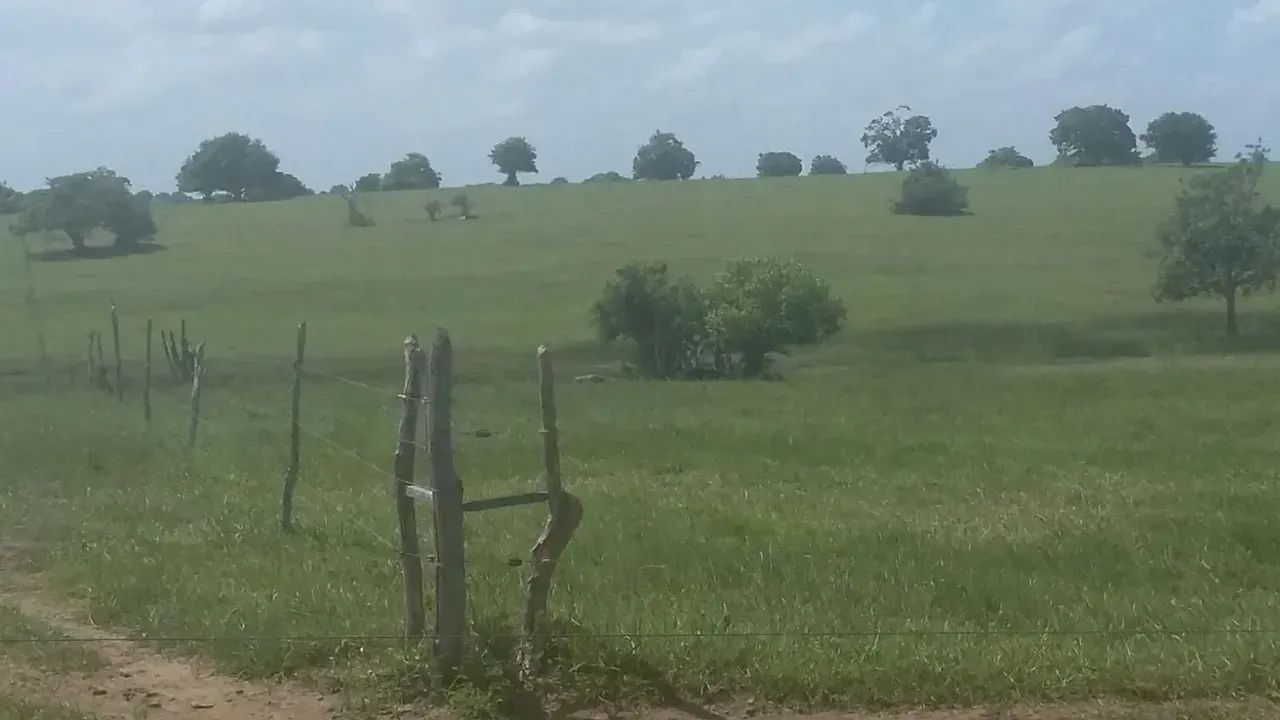 Fazenda para Arrendar - Foto 5