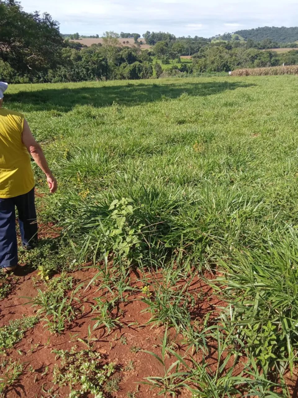 Chácara à Venda em Santa Maria - GO - Foto 3