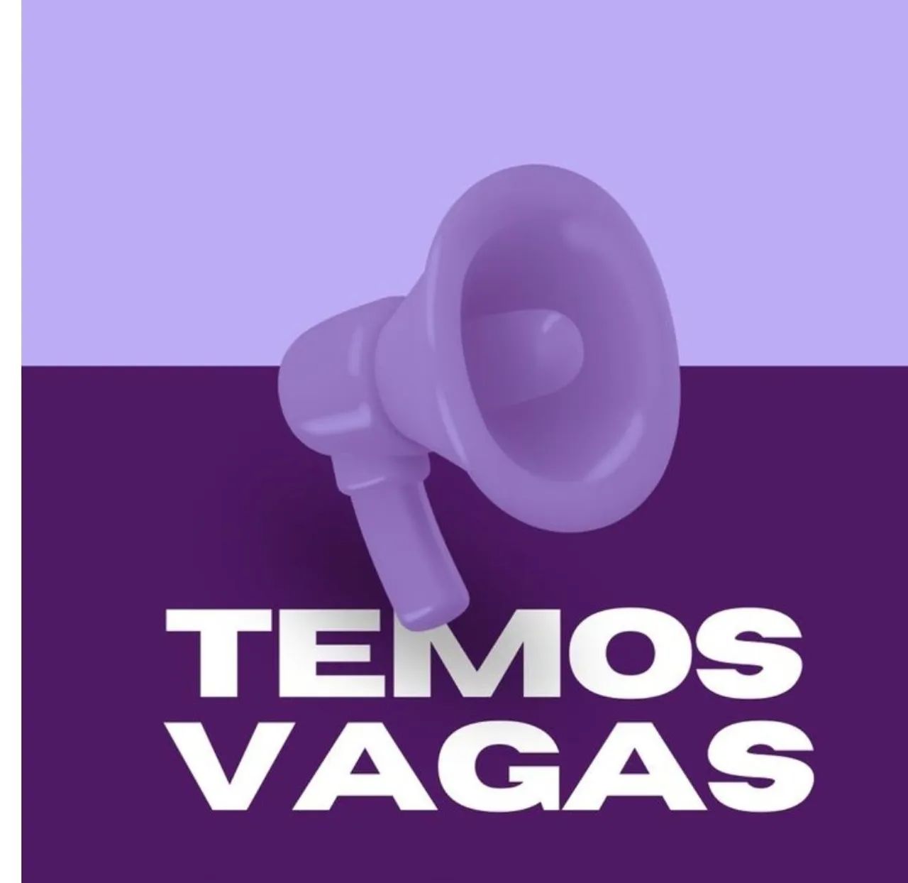 Assistente Financeiro 