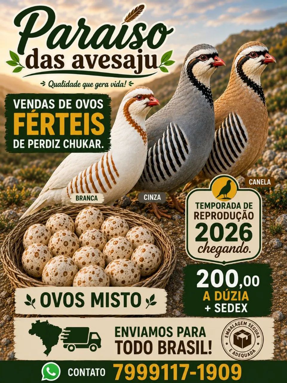 Vendo Perdiz Chukar 