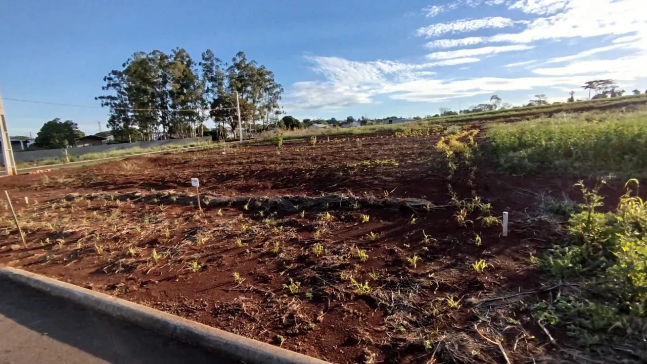Lote no loteamento Krackhecke - Foto 2