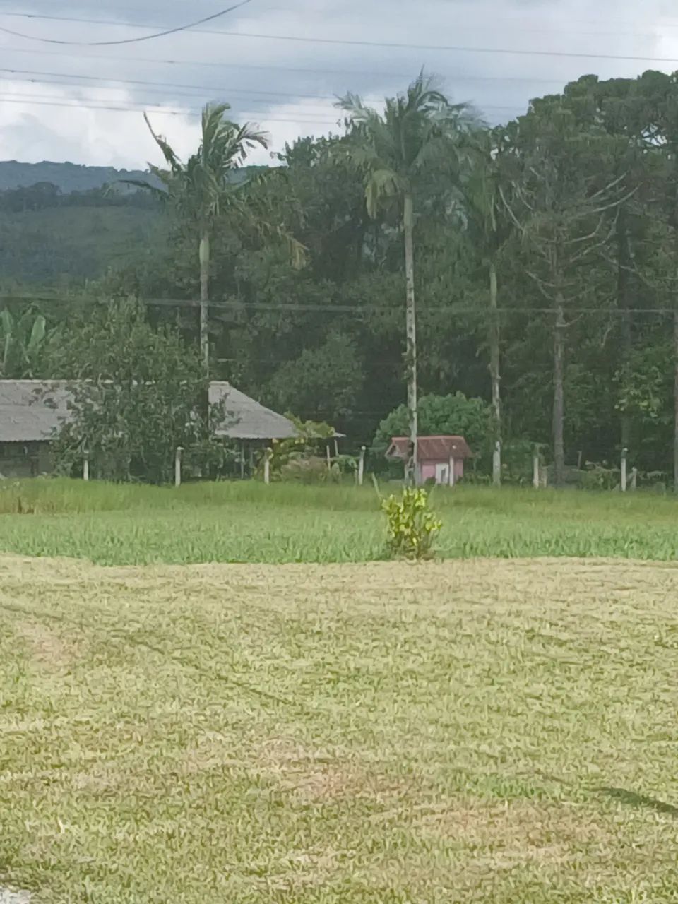 Linda chácara na paciência 